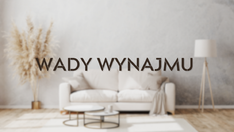 Wady Wynajmu (OKŁADKA)